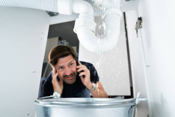 Best Water Leak Repair  in Newnan, GA
